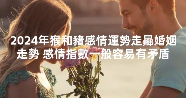 2024年猴和豬感情運勢走曏婚姻走勢 感情指數一般容易有矛盾